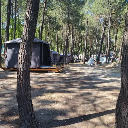 Ecoclub Várna