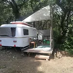 Kemp Ecoclub
