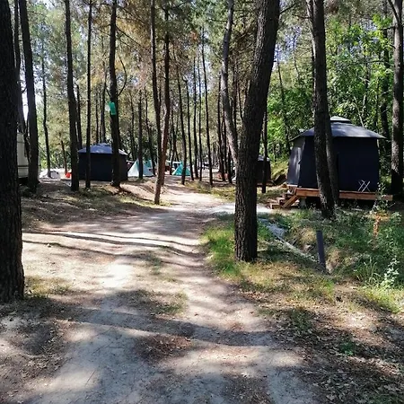 Ecoclub Varna