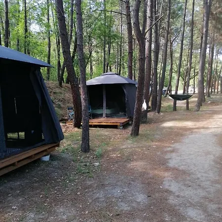 Ecoclub * Varna